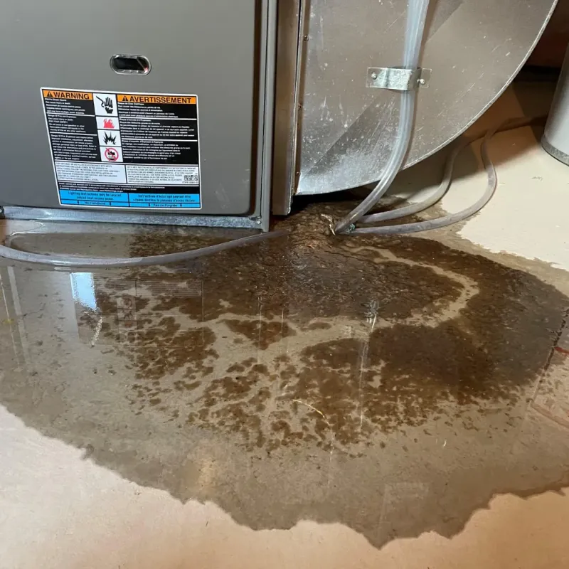 Appliance Leak Cleanup in Ocean Pointe, HI