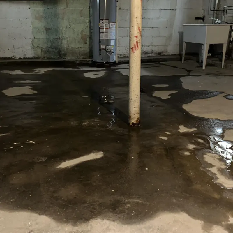 Emergency Water Extraction And Removal in Ocean Pointe, HI